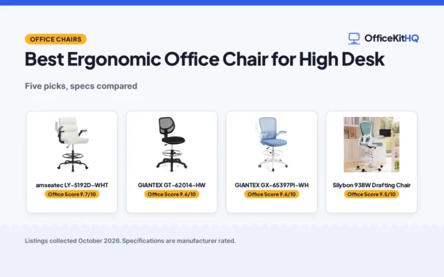 Best Ergonomic Office Chair for High Desk (2026): 5 Picks Compared