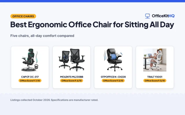 Best Ergonomic Office Chair for Sitting All Day (2026): 5 Compared