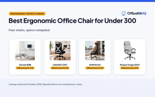 Best Ergonomic Office Chair for Under 300 (2026): 4 Compared
