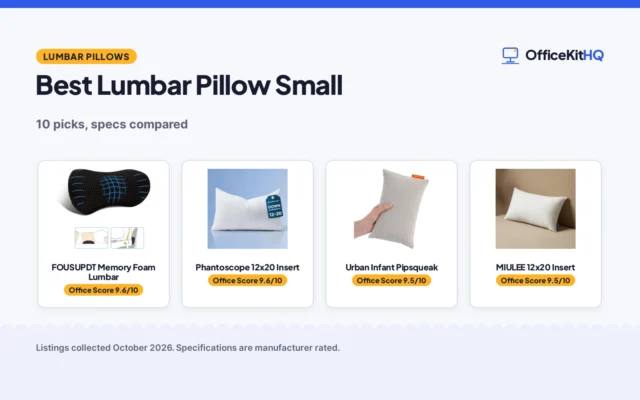 Best Lumbar Pillow Small (2026): 10 Picks Compared