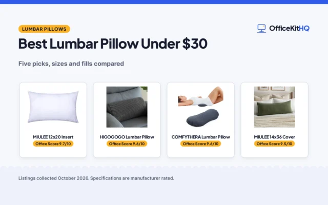 Best Lumbar Pillow Under $30 (2026): 5 Picks Compared
