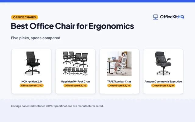Best Office Chair for Ergonomics: 5 Chairs Compared