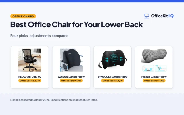 Best Office Chair for Your Lower Back (2026): 4 Picks Compared